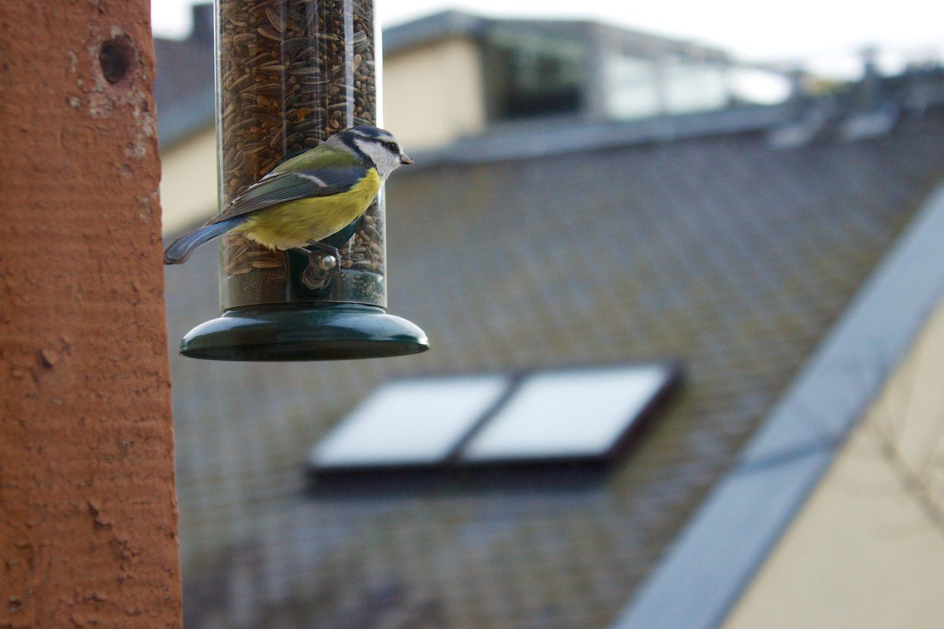 FrankfurtCollection6