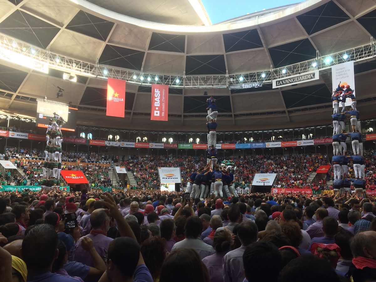 Erste Runde - mehrere Collas treten gleichzeitig auf