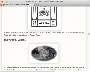 Screenshot: Französisches Tarot-Blog mit Degu